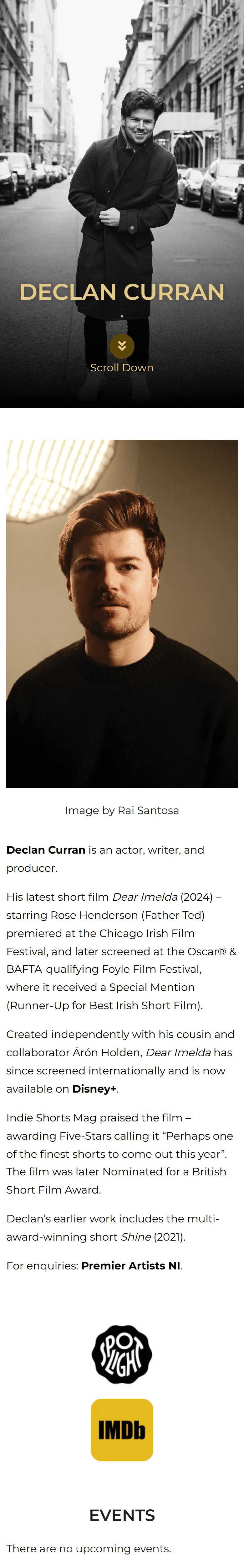 Declan Curran website, Home page, mobile view